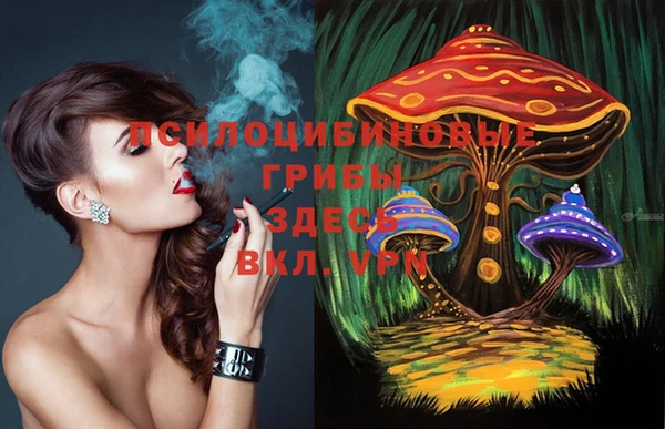 MDMA Premium VHQ Медногорск