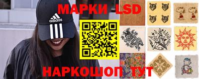 молекула духа Донской