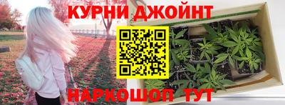 молекула духа Донской