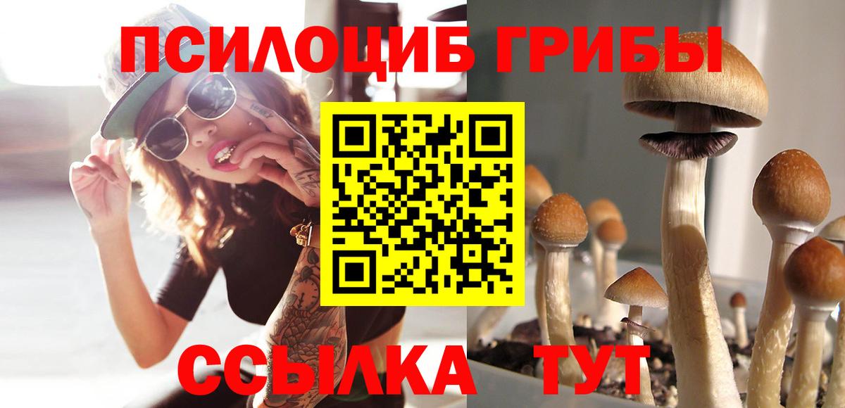 Галлюциногенные грибы мицелий  Псилоцибиновые грибы MAGIC MUSHROOMS  Октябрьский  Вход с VPN 